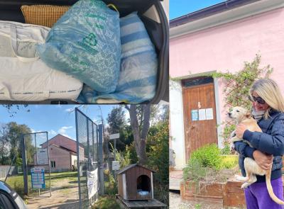 "Coperte e piumoni per gli animali del canile di Macerata: un gesto d'amore per chi non ha voce"