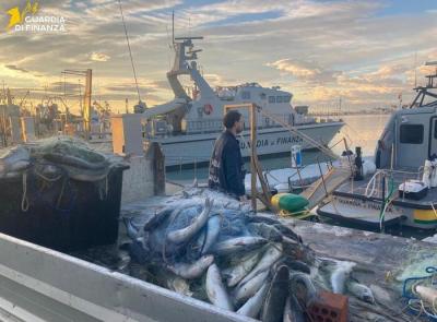 Pesca illegale: sequestrati 300 kg di pesce, sanzioni per 20mila euro
