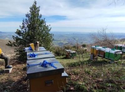 Miele d’eccellenza a Cessapalombo: Diego Coperchio ottiene la seconda Goccia d’Oro Miele d’eccellenza a Cessapalombo: Diego Coperchio ottiene la seconda Goccia d’Oro