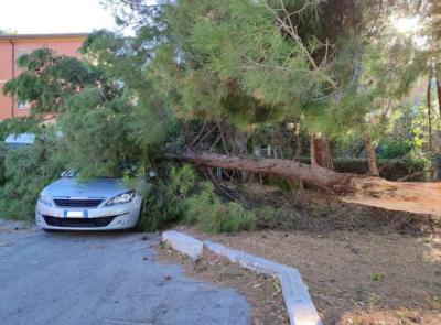 Allerta arancione per vento nelle Marche: raffiche fino a "tempesta violenta" nell’entroterra maceratese