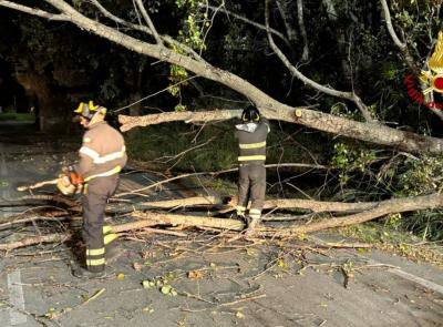 Maltempo nelle Marche: 140 interventi dei Vigili del Fuoco per il forte vento