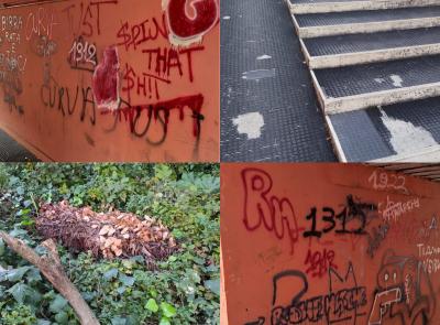"Ratti, sporcizia e muri imbrattati. Via Ancona una discarica a cielo aperto. Il Comune faccia qualcosa" "Ratti, sporcizia e muri imbrattati. Via Ancona una discarica a cielo aperto. Il Comune faccia qualcosa"