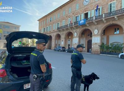 Civitanova, sequestrati oltre 40 kg di marijuana presso un hub di spedizioni: denunciato il destinatario Civitanova, sequestrati oltre 40 kg di marijuana presso un hub di spedizioni: denunciato il destinatario