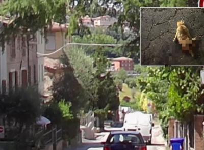 "È il terzo gatto che mi investono, caos traffico in via Due Fonti. Nessuno fa nulla, ora basta"