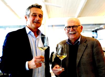 Addio Riserva, benvenuto "Castelli di Jesi Docg": l'IMT cambia le regole per l'élite del vino