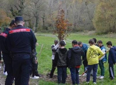 Valfornace celebra la "Festa dell'Albero": un impegno per il futuro verde con le scuole
