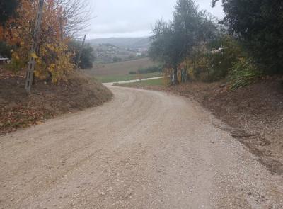 Tolentino, restyling del manto stradale in contrada San Giovanni: "Intervento coperto con fondi di bilancio"