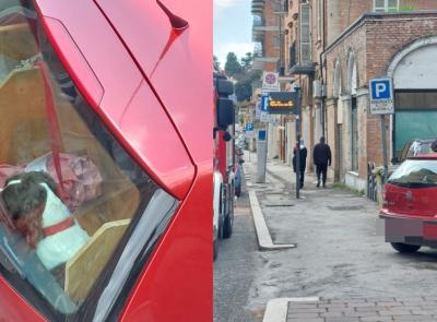Macerata, dimentica le chiavi in auto con i cani a bordo: intervengono i vigili del fuoco