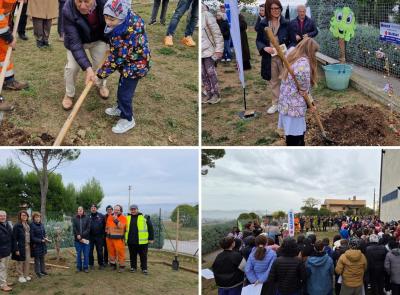 Recanati, gli alberi sono i migliori amici degli alunni: piantato un melograno alla scuola primaria