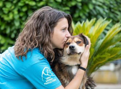 Camerino, "Un inverno senza gabbie”: il rifugio Lndc lancia l'appello per le adozioni responsabili contro il freddo