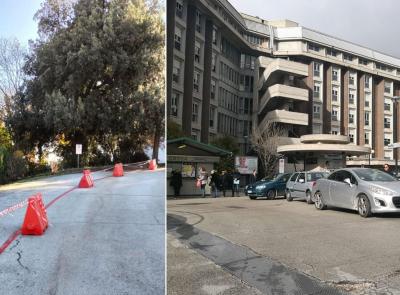 Ospedale di Macerata: cinque parcheggi (gratuiti) riservati ai donatori Avis