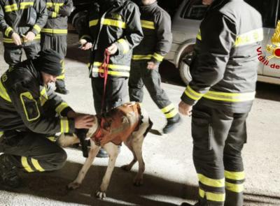 Cane da caccia smarrito nella boscaglia: interviene anche l'elicottero dei vigili del fuoco per il salvataggio