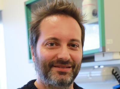 "Dormire poco rallenta il cervello": lo studio Unicam pubblicato su Pnas