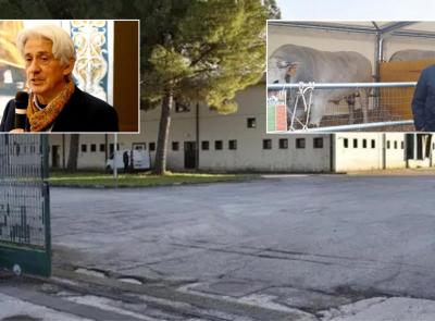 Parcaroli e l’asta per il mattatoio. Lui è vegano e non voleva farsi complice dell’eccidio bovino