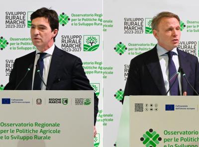 Il ministro Lollobrigida a Loreto: "Dobbiamo contrastare la criminalizzazione del vino"