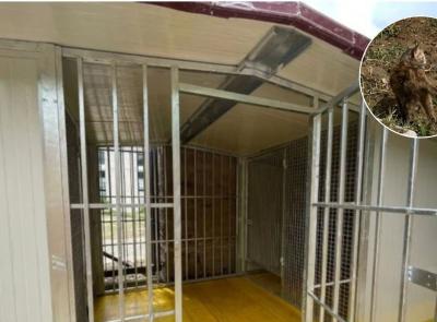 Macerata, riorganizzata la colonia felina del cimitero: "Popolazione animale stabile e sana"