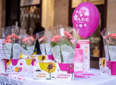 Endometriosi, una gerbera rosa per la diagnosi precoce: domenica i "Fiori della Consapevolezza" al Val di Chienti