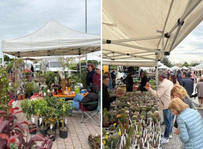 Trodica in Fiore, arriva la nona edizione: piazza Pertini si fa giardino per un giorno