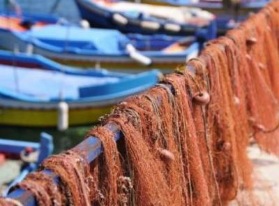 Pesca delle vongole, la Regione Marche chiude la lunga fase delle deroghe