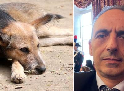 Macerata, Blarasin (FdI) lancia la veterinaria sociale: "Cure accessibili a tutti a prezzi calmierati"