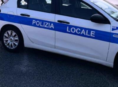 Macerata, capriolo sbuca all'improvviso e viene investito da un'auto