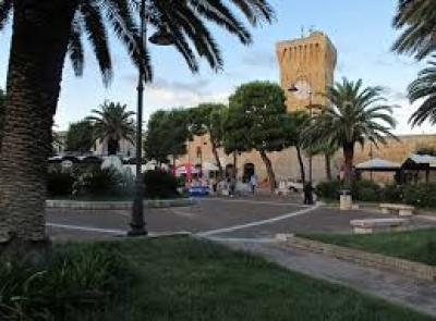 Porto Recanati, Fratelli d’Italia contro taglio pini di Piazza Brancondi
