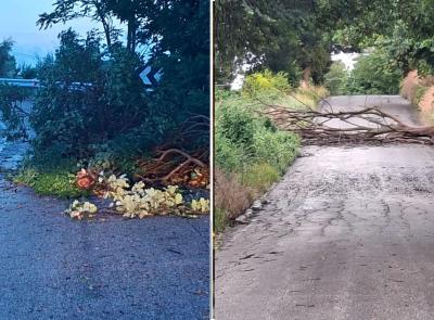 Maltempo Marche, oltre 75 interventi dei Vigili del Fuoco tra Fermo e Macerata per rami e alberi caduti