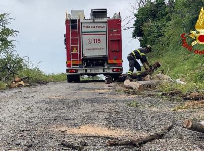 Maltempo nel Maceratese, violenta grandinata nell'entroterra: auto esce di strada a Cingoli, soccorsa una donna