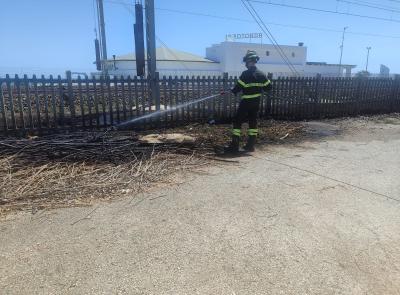 Porto Recanati, principio d'incendio a ridosso della ferrovia: non si esclude il dolo (FOTO)