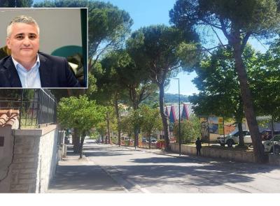 Alberi abbattuti a Tolentino, Bisonni attacca: "Più motoseghe che trasparenza"