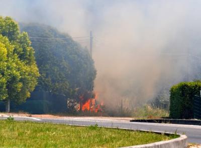 Incendio in un campo di grano a Urbisaglia, bruciati quattro ettari (Video)