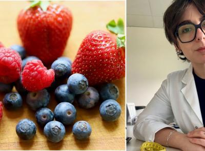 Oltre le calorie: come i nutrienti regolano i nostri geni e rigenerano le cellule