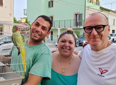 Colmurano, il tam tam social salva un pappagallo smarrito: "Poli" riabbraccia la sua famiglia
