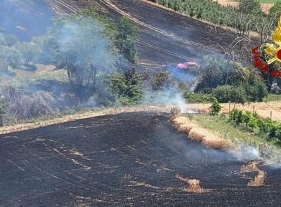 Montegranaro, fiamme vicino agli uliveti: evacuate tre case, intervengono due elicotteri