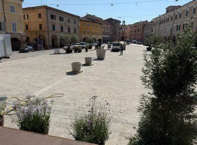 San Severino, Piazza del Popolo diventa un giardino: parte “Il verde itinerante”