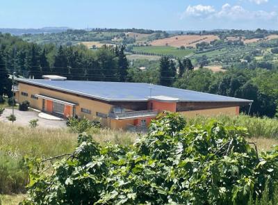 La palestra del Tirassegno torna sicura: completata la riqualificazione del tetto da 200 mila euro