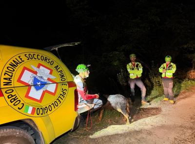 Tragedia nei boschi di Montegallo: trovato morto il fungaiolo disperso