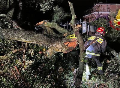 Maltempo nelle Marche, quasi 300 interventi dei vigili del fuoco. Piergallini: "Subito lo stato di emergenza"