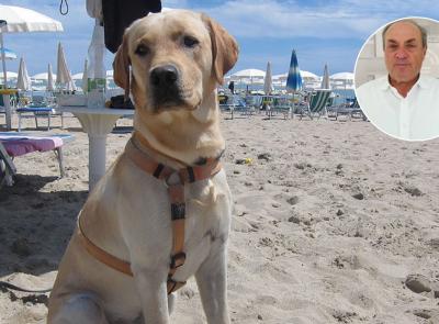"Patentino obbligatorio per chi possiede un cane": dalle Marche la proposta di legge