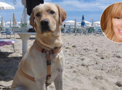 Patentino obbligatorio per i proprietari di cani, Europa Verde: “Così rischia di ostacolare le adozioni”