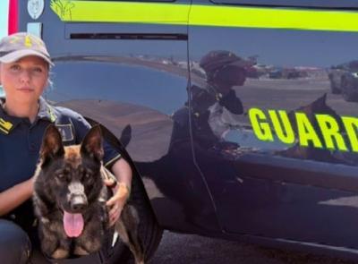 Guardia di finanza, a Macerata arriva Elly: nuovo cane antidroga