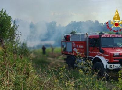 Corridonia, incendio di sterpaglie sull’argine del Chienti: intervengono i Vigili del fuoco