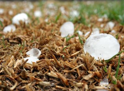 Ultimo sabato d'agosto con allerta meteo nelle Marche: possibili grandinate e forti raffiche di vento