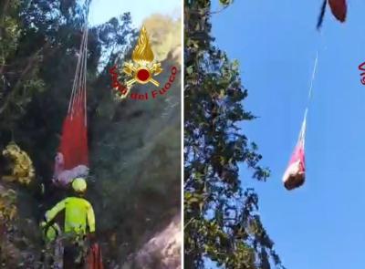 Fiastra, bovino finisce in un dirupo sul Monte Ragnolo: recuperato in elicottero dai vigili del fuoco (VIDEO)