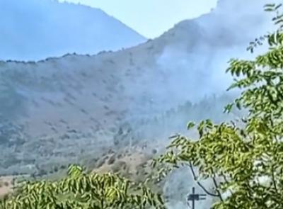 Incendio boschivo a Caldarola, quattro squadre dei vigili del fuoco