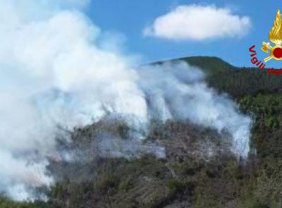 Incendio boschivo a Caldarola, quattro squadre dei vigili del fuoco