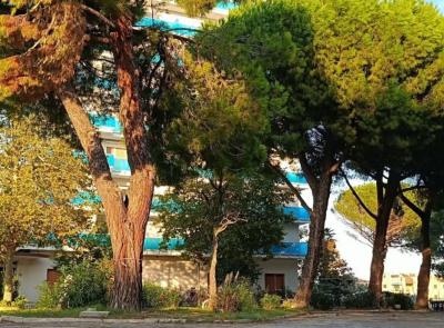 Porto Recanati, tagliati quattro pini al condominio Pineta: la protesta dei residenti