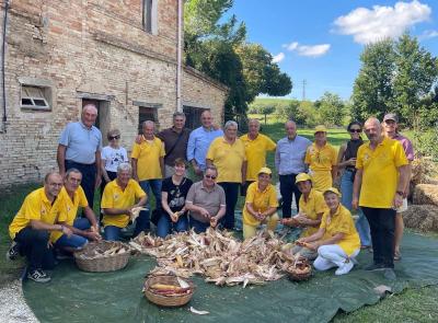 Sagra della Polenta di Santa Maria in Selva, ultimo weekend: tre giorni di festa