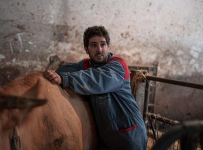 Copagri Marche Sud, Yuri Maggi è il nuovo presidente: "Fare squadra per sostenere le imprese agricole"