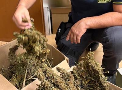 Civitanova, il fiuto del cane antidroga incastra spacciatore: sequestrati oltre 2 chili di marijuana